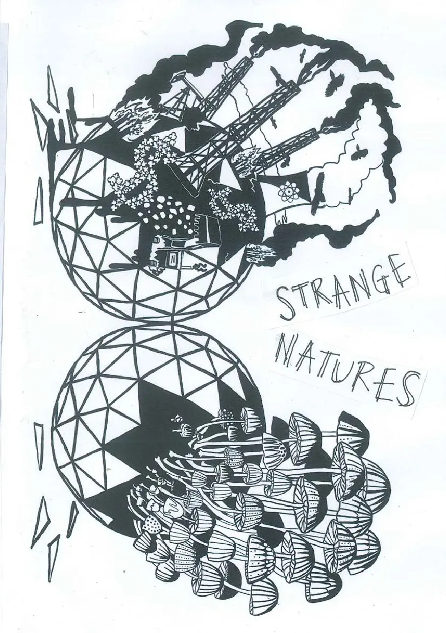 Strange natures